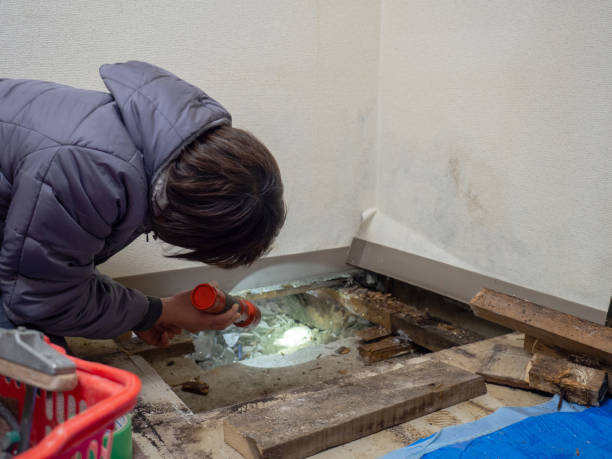Best Commercial Mold Inspection  in Heritage Hills, NY