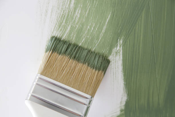 Best Black Mold Removal  in Heritage Hills, NY