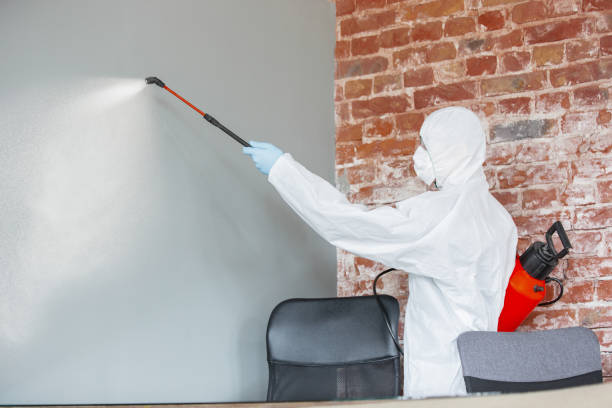 Best Airborne Mold Testing  in Heritage Hills, NY