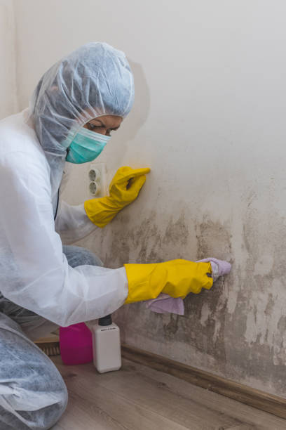 Best Crawl Space Mold Remediation  in Heritage Hills, NY