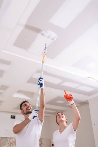 Best Air Quality Testing for Mold Spores  in Heritage Hills, NY