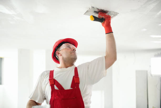 Best Basement Mold Removal  in Heritage Hills, NY